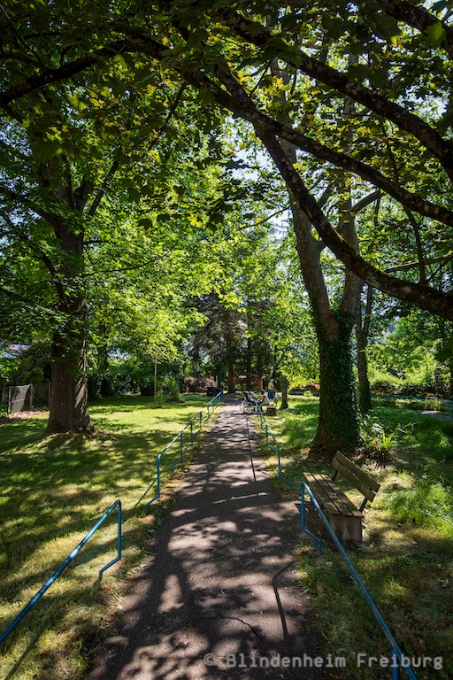 Blindenheim Freiburg Romantischer Weg unter Bäumen